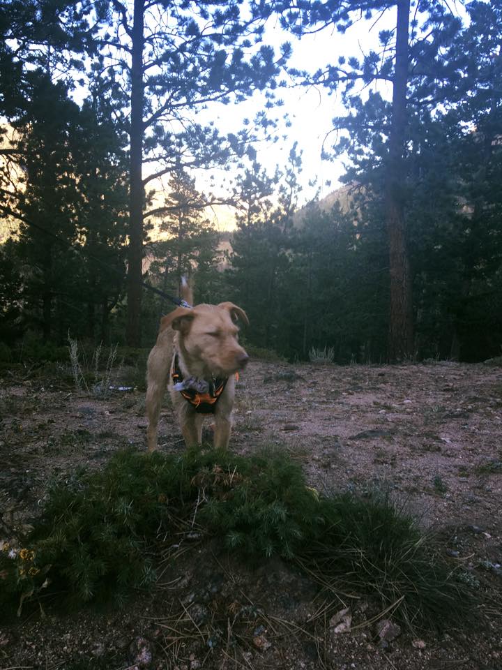 22089737_10155621081189976_2499994760764808101_n