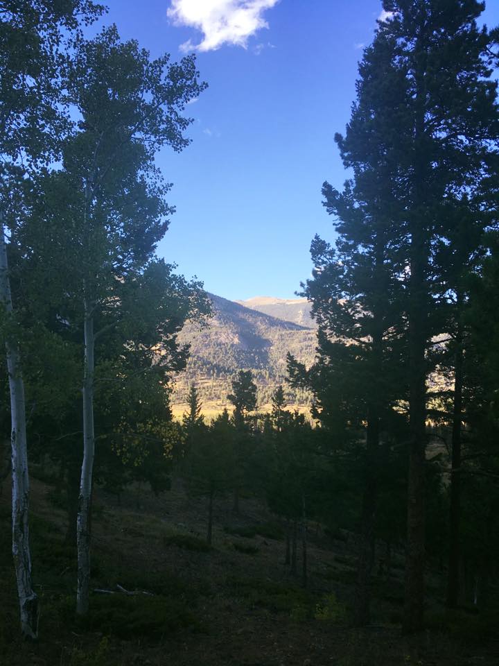 22090128_10155621081249976_1497190070055558127_n