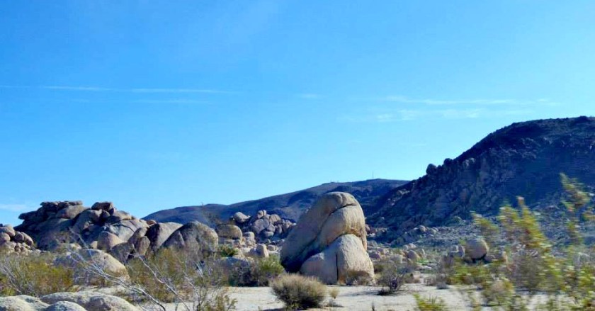 270342_10151788972599976_969837916_n