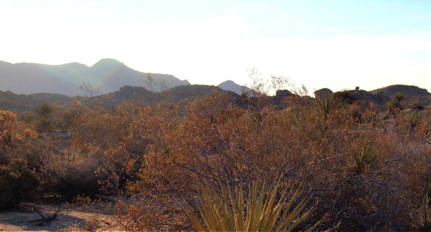 523416_10151788972159976_1951270546_n