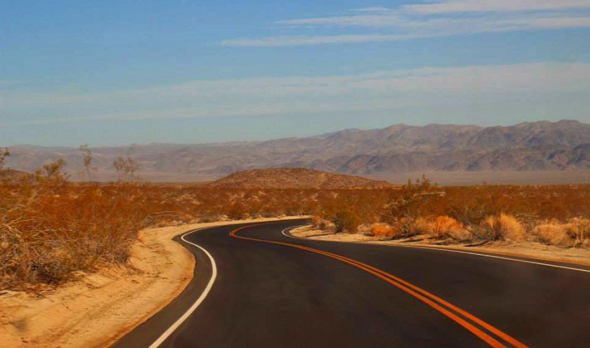 550988_10151788972564976_495310623_n