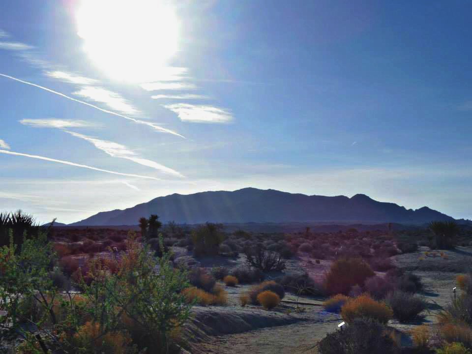 996895_10151788972269976_1118560745_n