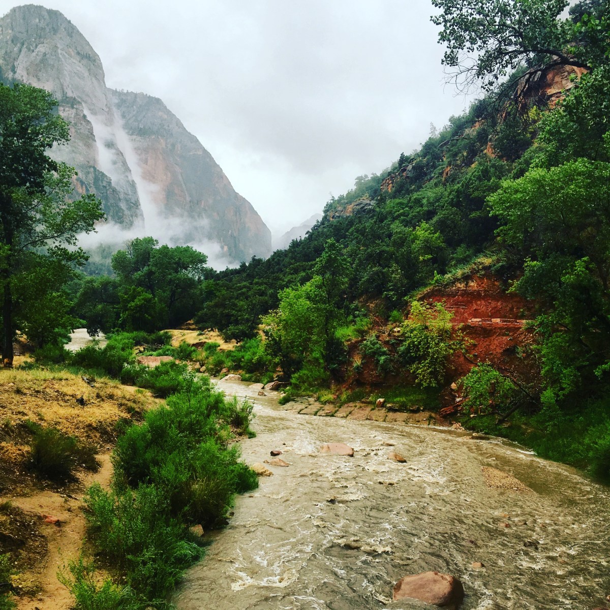 Zion National Park