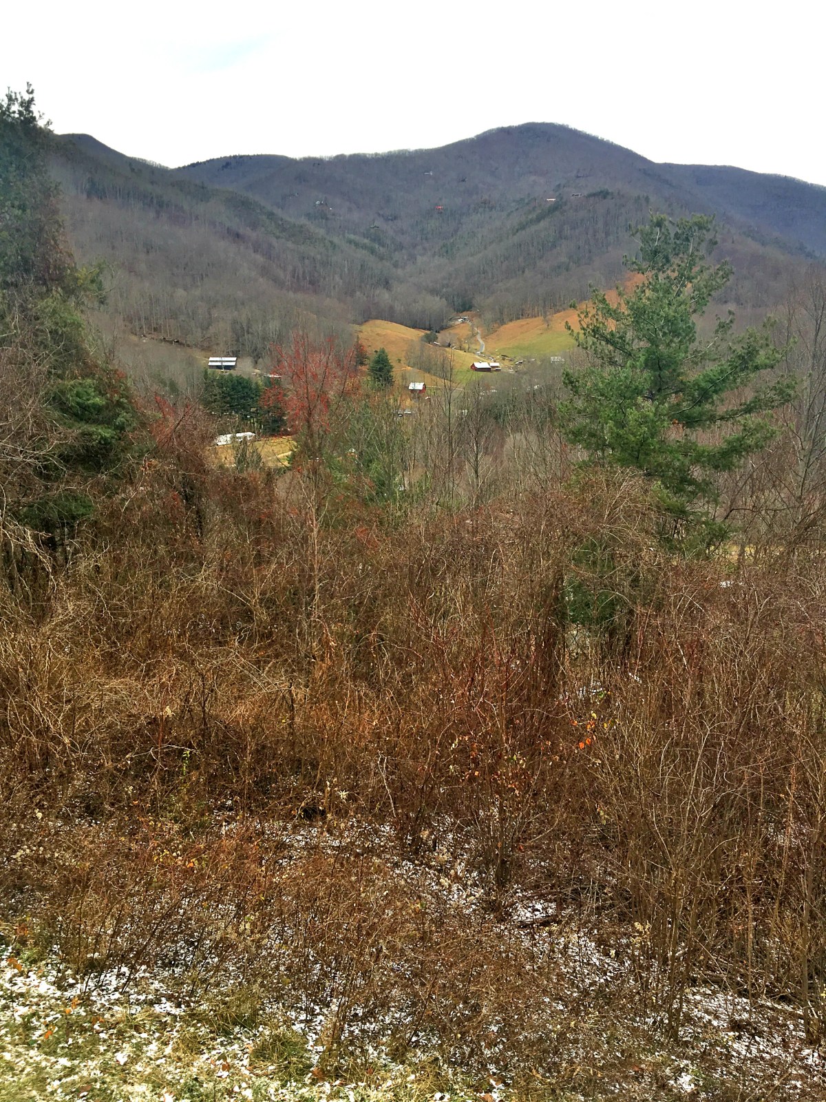 Great Smoky Mountains National&nbsp;Park