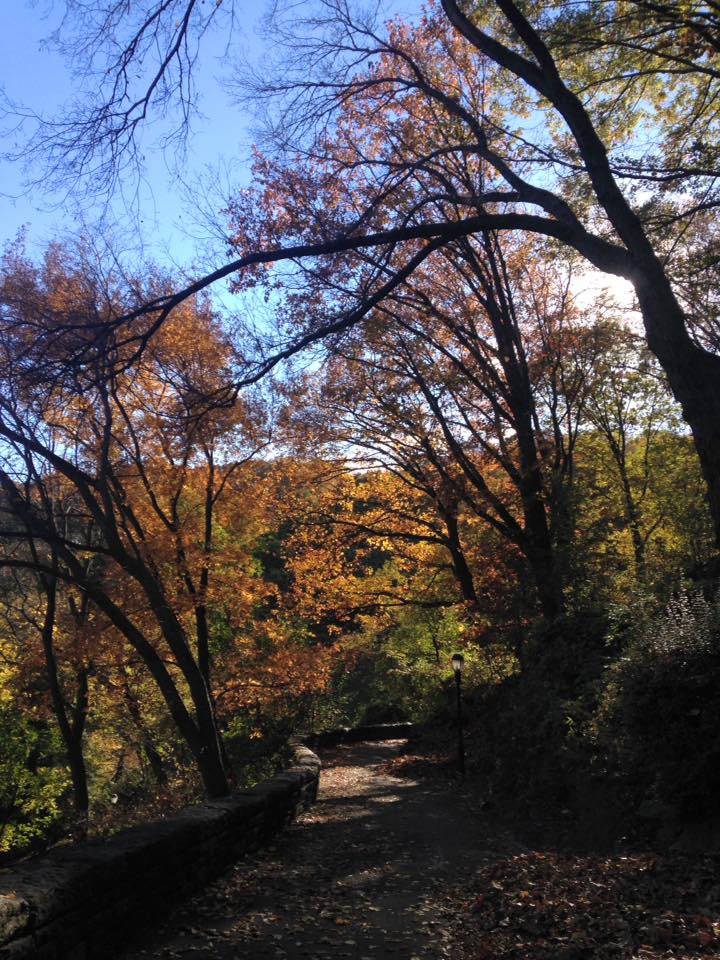 15181610_10154641440984976_856806814669134319_n