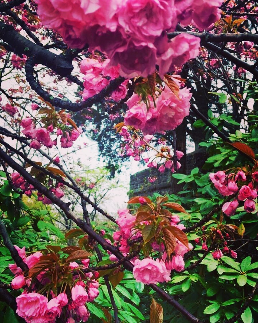 18077295_10155106703144976_6236852229216154460_o