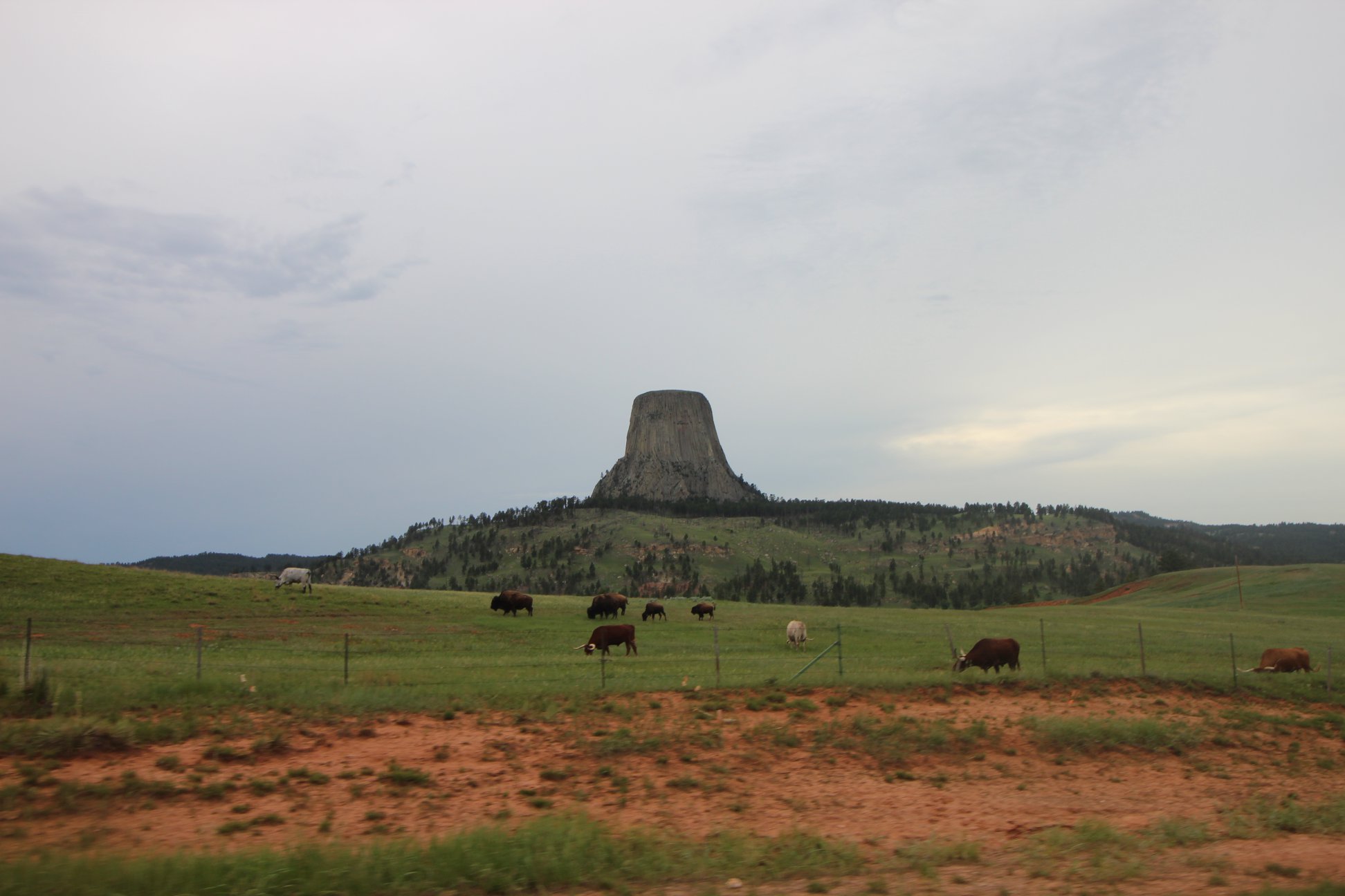 35102535_10156308396004976_8538634282845863936_o