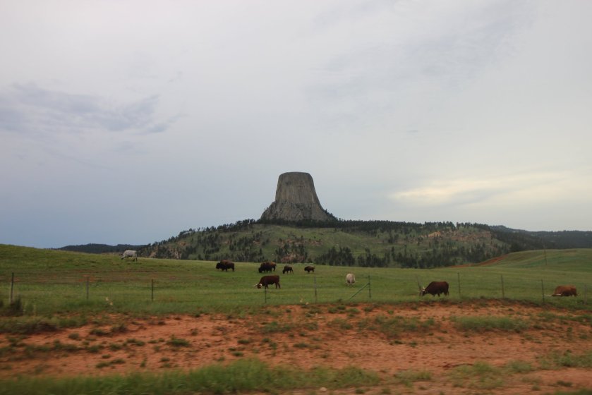 35102535_10156308396004976_8538634282845863936_o